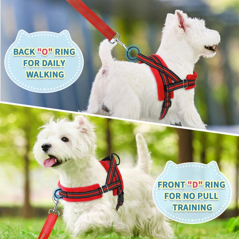 SlowTon No Pull Small Dog Harness and Leash Set, Puppy