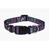 ASTORPET | Adjustable Dog Collar, Soft and Durable for Small,