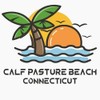 CafePress Connecticut Calf Pasture Beach 4.25" x 5.5" Notecards 10