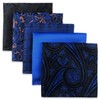 Shlax&Wing Pack of 5 Assorted Handkerchiefs for Men Square Size