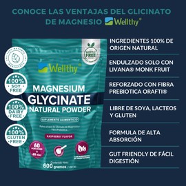 Wellthy Glicinato de Magnesio 600g Sabor Raspberry. 60 Porciones, Equivalente a 500mg de Magnesio por Porción, Reforzado con Fibra Prebiótica Orafti®, Endulzado Monk Fruit, Incluye Scoop, Bottle Free.