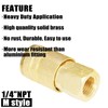 Qolekog Air Hose Fittings Brass Industrial Coupler 1/4-inch NPT Female