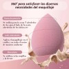 13 Piezas Brochas Maquillaje Y 3 Esponja Para Maquillaje Rosa