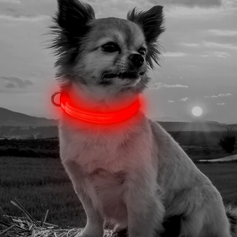 BSEEN LED Dog Collar - Rechargeable Light Up Dog Collar