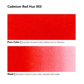 Daler-Rowney Aquafine Watercolor Ink Cadmium Red Hue 29.5ml - Versatile Liquid Watercolor Ink for Artists and Students - Use with Paint Brushes, Technical Pens, Airbrushes, and Paint Markers