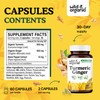 Wild & Organic Turmeric and Ginger Supplement Capsules - Mobility