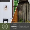 VAXCEL Trail 13 in. H 1-Light Burnished Bronze Rustic Cowboy