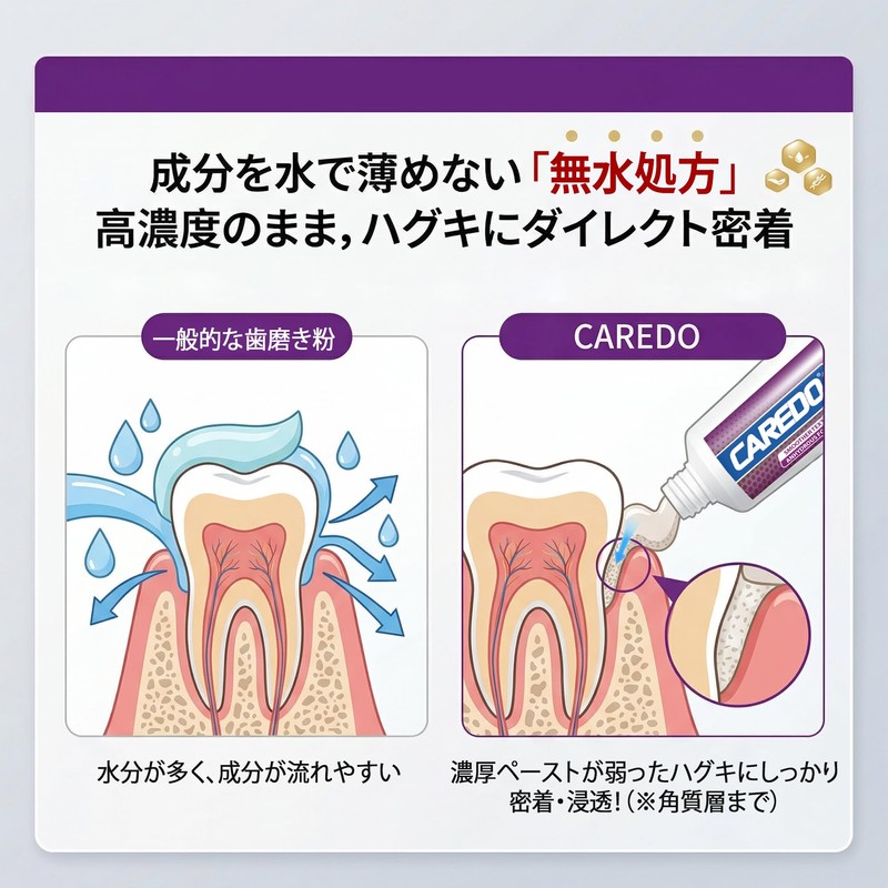 CAREDO Toothpaste Unique Waterless Formula for High Concentration of Gums,