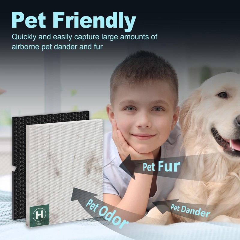 116130 Replacement Filter H for Winix 5500-2 and AM80 Air