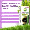 BASIC AYURVEDA Jamun Karela Herbal Mix Juice | Made with
