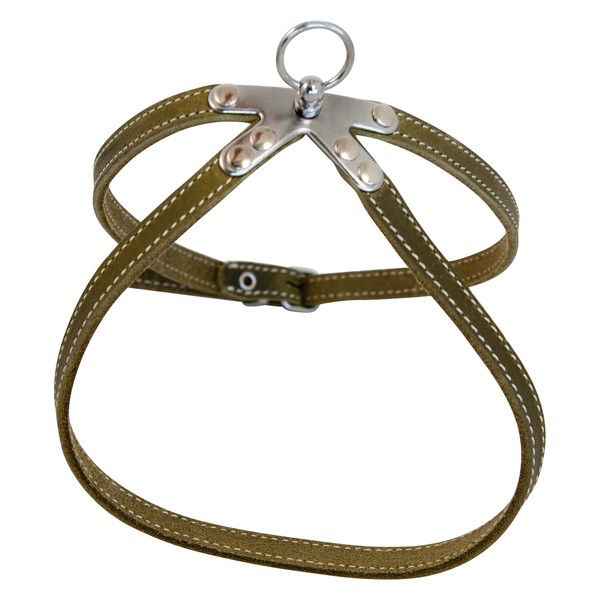 JACK AND VANILLA, Durable Leather Harness for Pets Custom Fit
