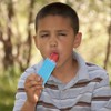 YAZANY Ice Pop Holders, 4 Pcs Reusable Blue Ice Pop