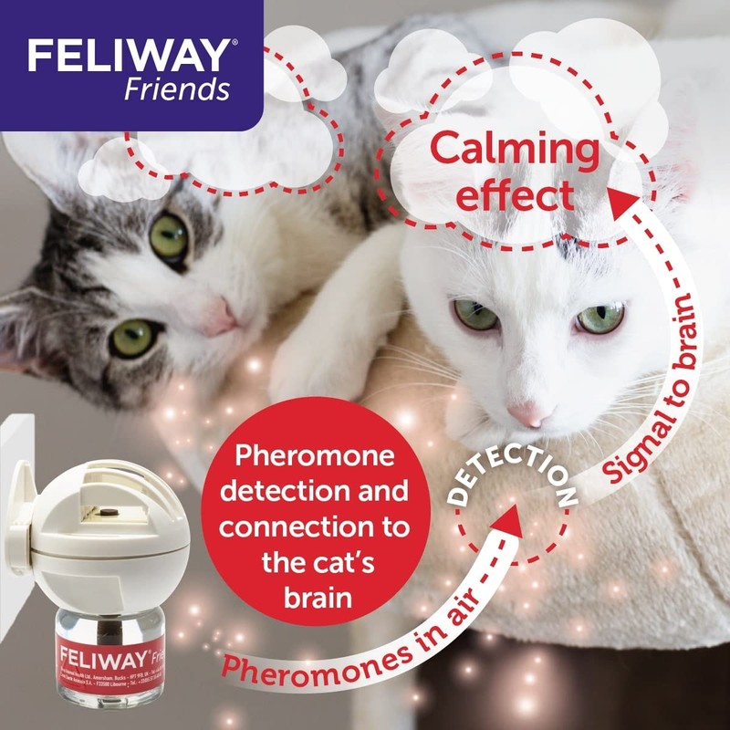 FELIWAY Friends 30 Day Refill, helps to reduce conflict in