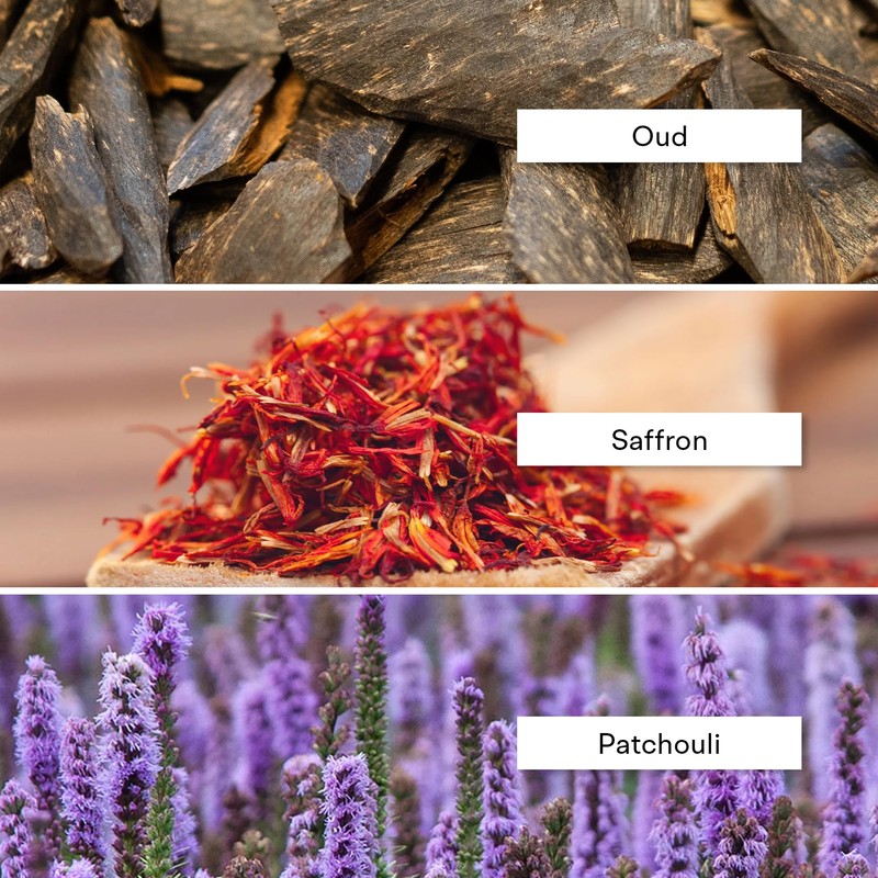 Alexandria Fragrances Ouddiction Perfume - Premium Parfum with Rich Oud