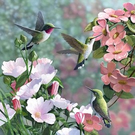 Hummingbird Paint by Numbers Adult Kit Beginner, Hummingbird Adult Paint by Number Kits on Canvas Without Frame, DIY Oil Painting by Numbers for Home Decor Gift 16” W x 16”L