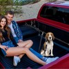 SKIPWALL Truck Bed Dog Tether for Two Dogs,Ratchet Tightening Adjustable