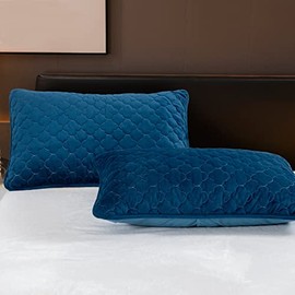 Flannel Pillowcases Queen Size, 2 Pack Soft Velevt Pillow Shams Covers with Envelope Closure, Luxury Cozy Decorative Pillow Cases, No Filling (Queen (20 x 30 Inch), Blue)
