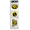 Rico Industries RSS2501: Eagles 3-Piece Retro Spirit Decals