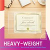 GOLD SEAL No Holes Sheet Protectors, Bulk Pack, Letter Size