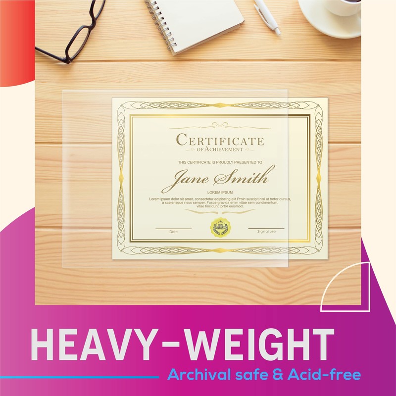 GOLD SEAL No Holes Sheet Protectors, Bulk Pack, Letter Size