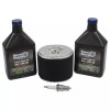 For Honda *Stens Eng Maintenance Kit Honda GX240-GX390, 17210-ZE3-505, (785-656)