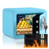 0.23 Cubic Feet Safe Box, Small Safe W/Fireproof Bag, Keys