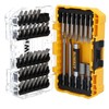 DEWALT Screwdriver Bit Set with Tough Case, 45-Piece (DW2166), Grey/Silver