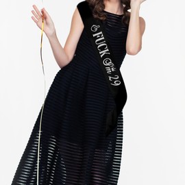 Funny Happy 29th Birthday Sash - Black Sash with Sliver Foil - Cheers to 29 Year Gift for Man or Women - 29th Birthday Party Decorations Sash