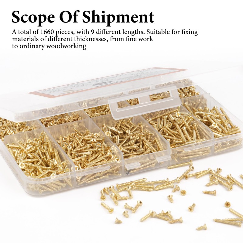 1660 Pieces M2 Small Screws Set, Small Wood Screws Set,