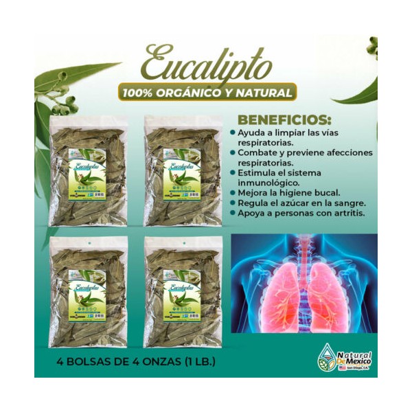 Natural de Mexico USA Hojas de Eucalipto 1 Lb (4 de 4oz)-453g Eucalyptus Leaves, Bronquios, Tos, Asma