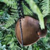 Vivid Arts Hanging Robin Heart Feeder
