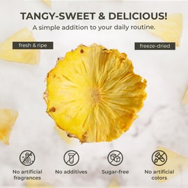 Dried Pineapple Slices - 10.58 oz, Freeze-Dried Fresh Pineapple, Low-Calorie Healthy Snack, Ingredient for Tea, Beverages & Cooking, Natural Detox, Gluten Free, No Sugar Added