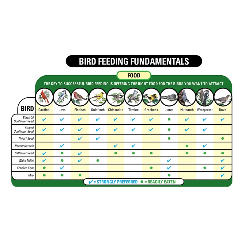 Wagner's 52003 Classic Blend Wild Bird Food, 6-Pound Bag