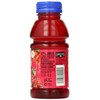 Langers Juice Cocktail, Cranberry, 10 Fl Oz (Pack of 12)