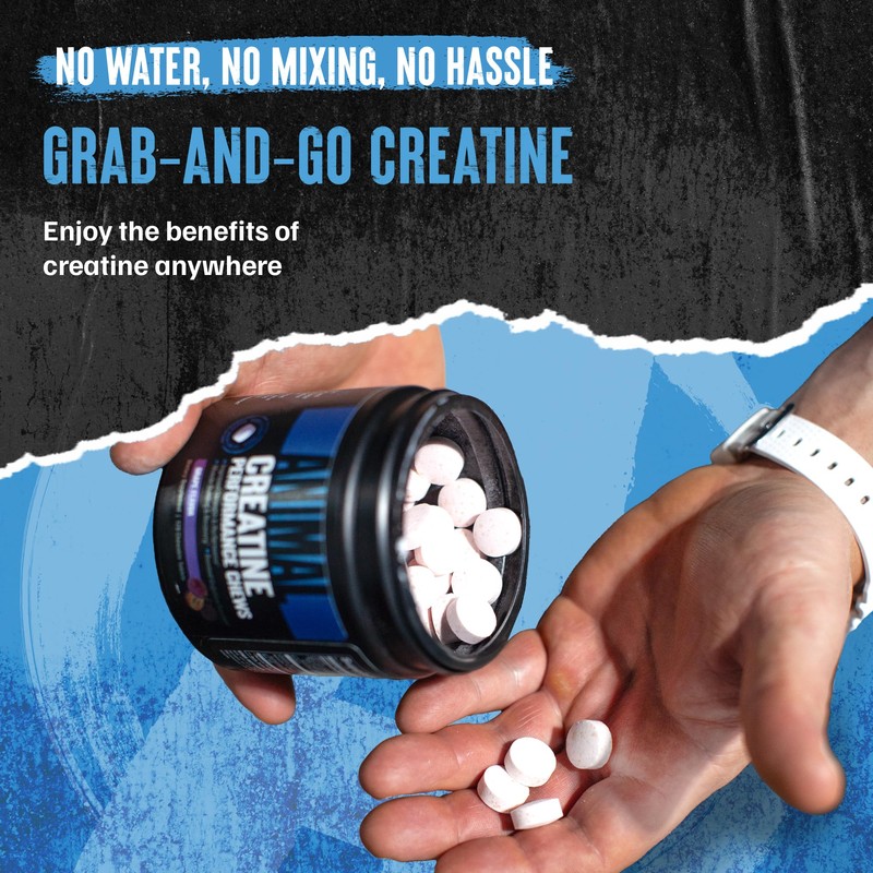 Animal Creatine Chews – Enhanced Creatine Monohydrate Chewable Tablets with
