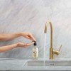 Caldrea Hand Wash Soap, Aloe Vera Gel, Olive Oil And