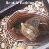 Apatal Reptile Bathing Pool 2-in-1 Tortoise Water Dish with Ramp
