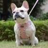 Mercano Soft Mesh Dog Harness and Leash Set, No-Chock Step-in