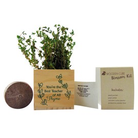 Teacher Plant Appreciation Gift Best of All Thyme Pot Wooden Cube Set, 4 inch