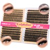 Calphdiar Lash Clusters 40D+60D+80D+100D Eyelash Clusters 474PCS Individual Lashes D-Curly