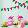 Pink and Green Party Decorations Metallic Hot Pink Light Green