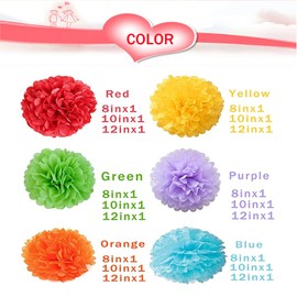 YQkangzhu 18 PCS Tissue Pom Pom Paper, Rainbow Paper Flower Ball Party Decorations for Wedding, Birthday, Bachelorette, Baby Shower, Christmas Parties and Outdoor Decor(8,10,12inch)