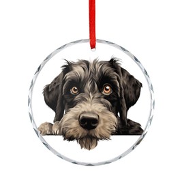 DecStic Christmas Glass Ornament Giant Schnauzer Dog Lying on The Floor Peeking Christmas Ornaments Vintage Dog Pet Lovers DIY Christmas Ornaments for Decorating Christmas Home 3 in