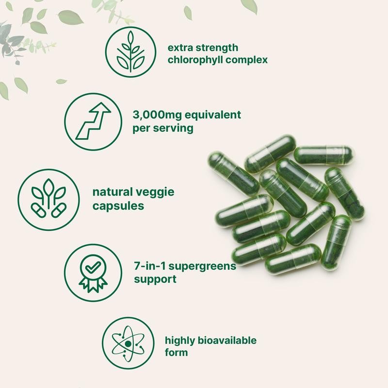 Micro Ingredients Chlorophyll 3,000mg Equivalent, 240 Veggie Capsules
