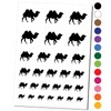 Camel Solid Temporary Tattoo Water Resistant Fake Body Art Set
