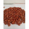 Cacao Seco En Grano 1 Kg De Chiapas