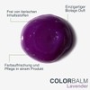 Biolage Colouring Conditioner for a Purple Tone in Light Blonde