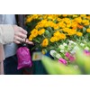 Chicobag Original Compact Reusable Grocery Bag with Attached Pouch and