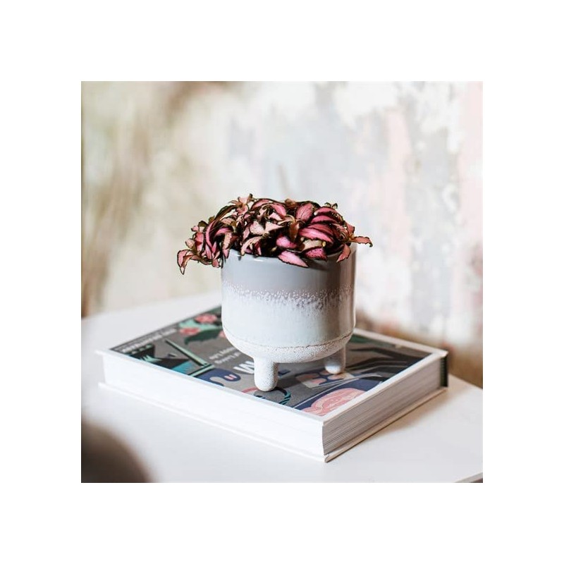 Sass & Belle Mojave Glaze Grey Planter