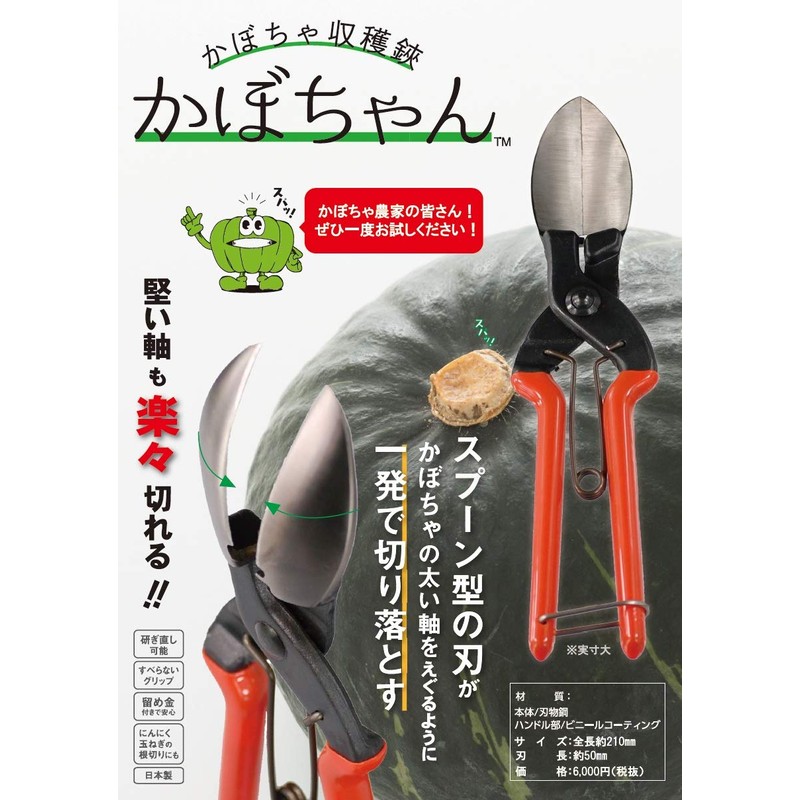 Pumpkin harvesting shears can easily cut even hard shafts. Suwada